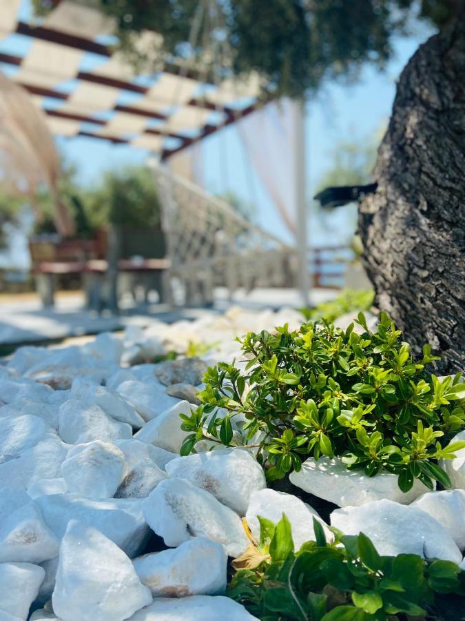 Dream House Villa Alikí المظهر الخارجي الصورة